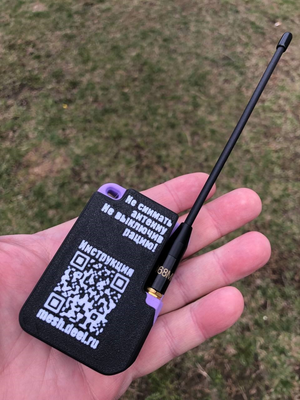 MT01-BACK.jpg